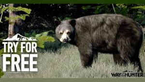 A Wild America lança uma versão para tentar e comprar no Android