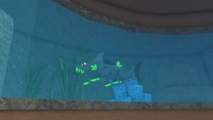 Guia de nível Max Fisch – como atingir o nível máximo facilmente